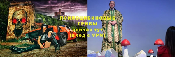 spice Костерёво