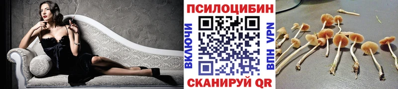 Галлюциногенные грибы мухоморы  Купить  Венёв 